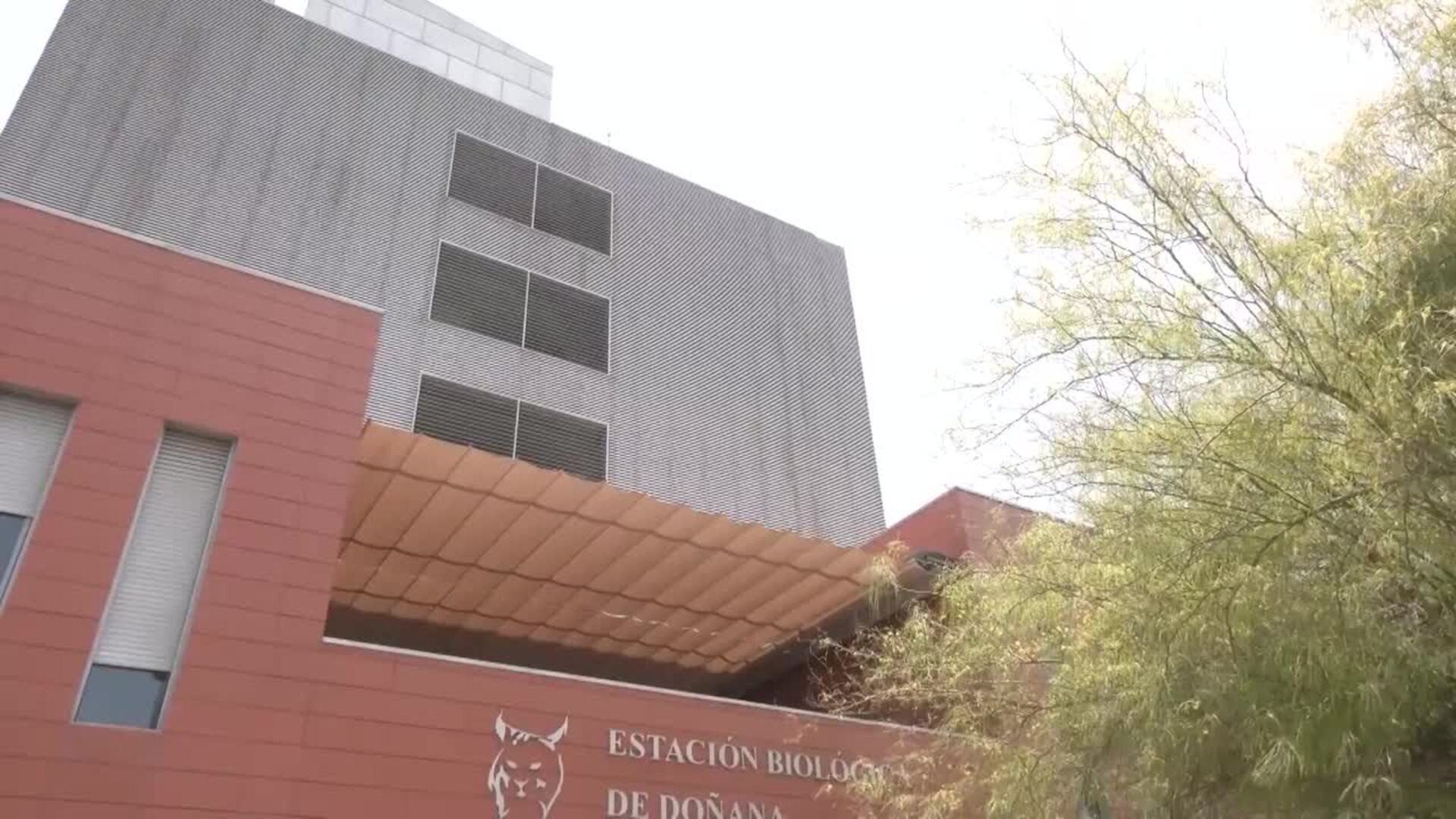 Salud descarta circulación del Virus del Nilo Occidental la última semana en toda Andalucía