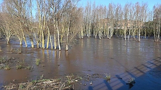 Avisos naranjas y rojos en varios puntos del Arlanza y el Duero por posibles desbordamientos en Burgos