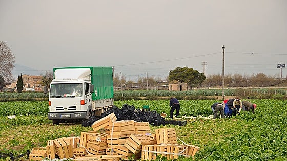 UCCL destaca que el campo ya pagó en 2025 cerca de un 10% más del salario mínimo interprofesional