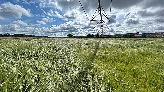UPA-COAG pide resolver por fases las ayudas a jóvenes agricultores para evitar problemas de liquidez
