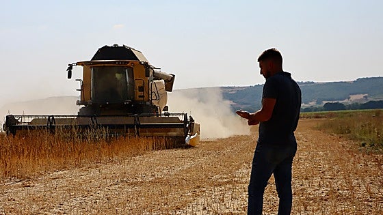 Un agricultor segoviano crea su propia marca para la comercialización de quinoa