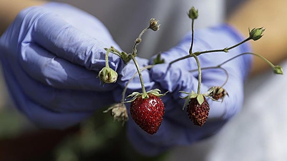 La Junta destina un millón de euros para promover la formación agraria de más de 8.400 alumnos en Castilla y León