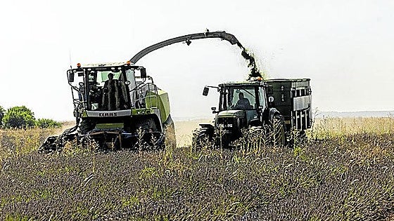 Los agricultores beneficiarios de las ayudas directas por las borrascas podrán aceptarlas hasta el 27 de abril