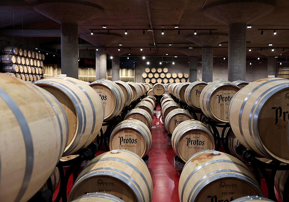 Bodegas Protos'un XI. Dayanışma Tostunun oylama dönemi başladı