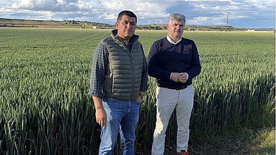 De agricultores a proveedores de soluciones agrícolas