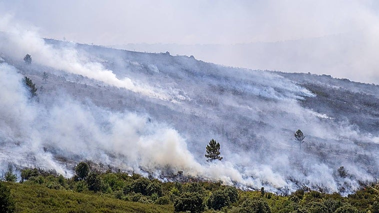 Evacuados los 31 residentes del centro de mayores de Retortillo ante el avance del incendio de Guadalajara