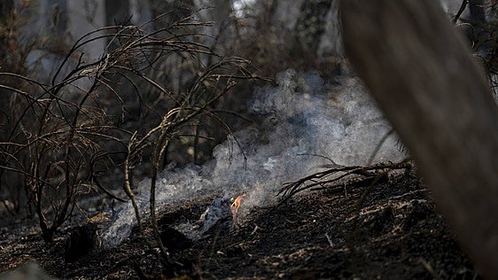 Interior envía un Es-Alert para comunicar el confinamiento de Las Navas del Marqués
