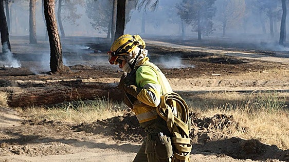 Un retén de bomberos vigilará durante la noche para evitar conatos en el incendio de Olmedo, ya controlado