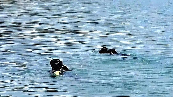 Localizan el cadáver de un pescador de Villaco en el embalse de Tórtoles de Esgueva
