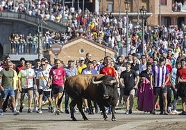 Miles de espectadores siguieron de cerca a 'Campanito', el Toro de la Vega de 2026.