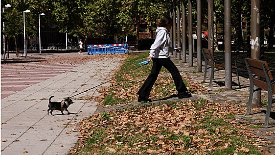 Un frente cerrará el interminable verano en Valladolid para dar paso a un final de año «cálido»