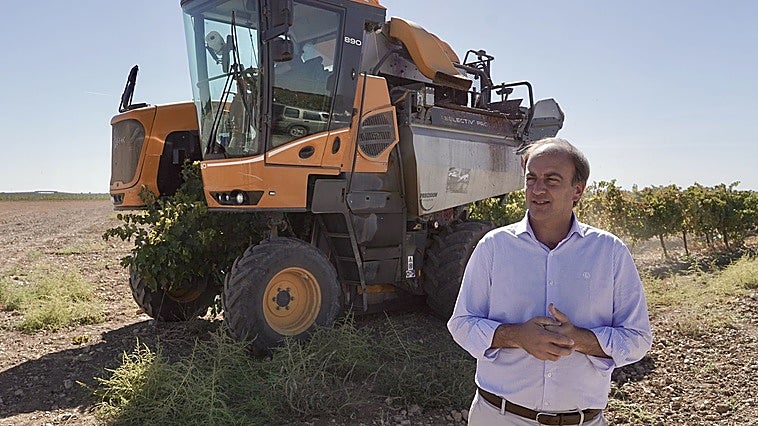 Fijado un coste medio de producción de 0,92 euros por kilo de uva en la Ribera del Duero