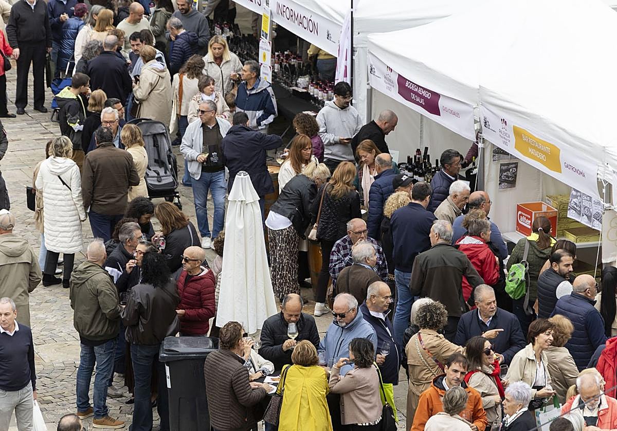 Palencia Plaza Mayor del Vino conquista a aficionados de toda España