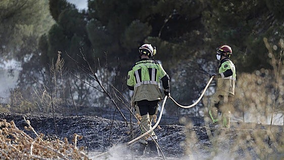 Fragor, calor y días a la sombra