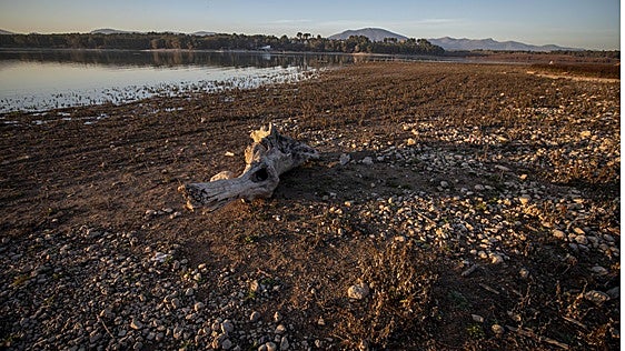 Más calor, menos crecimiento
