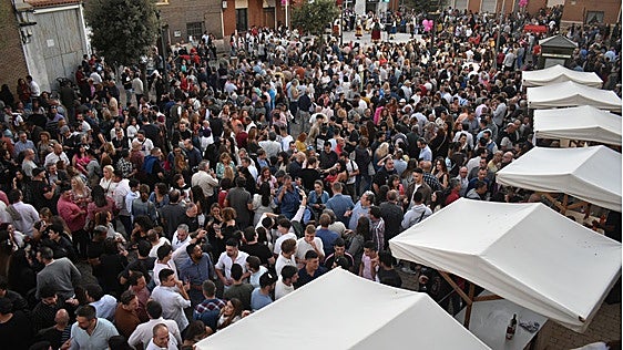Cigales brinda por una de sus semanas grandes: vino, tradición y una vendimia que une a toda la comarca