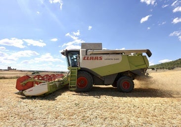 Luis Miguel trabaja el campo con su cosechadora en Torrelobatón (Valladolid).