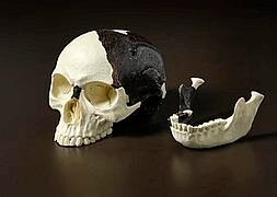 Reproducción del cráneo y la mandíbula hallados en Piltdown. / Foto: R. C.