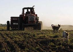 Un agricultor trabajando en el campo con su tractor. / Archivo