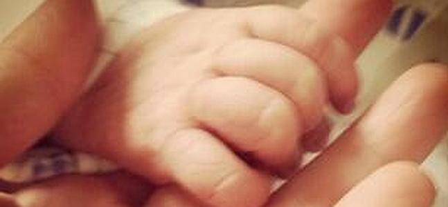 Una de las fotos publicadas por Pippa Midleton en Twitter.