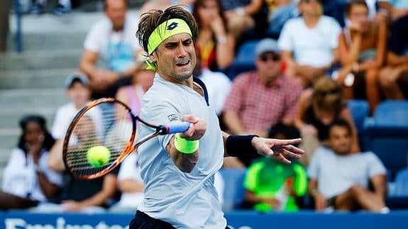 David Ferrer. 