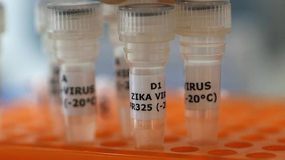 Tubos para la investigación del virus zika. 