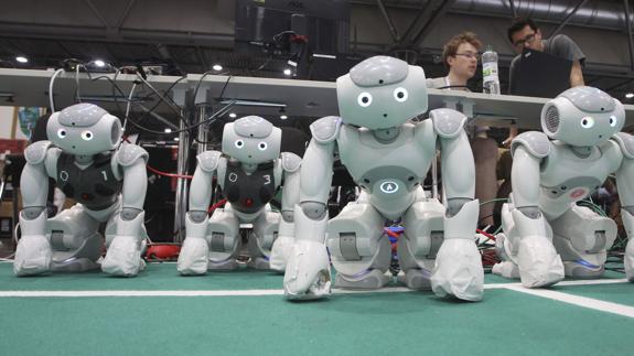 Las tareas domésticas serán su especialidad.