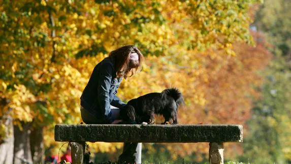 Una joven sentada en un banco junto a un perro.