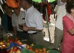 La Feria del Tomate de Mansilla de las Mulas ofrece más de 6.000 kilos