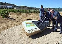 La bodega Valbusenda presenta el mayor jardín ampelográfico de viticultura experimental de la región