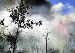 Incendio en Ferral de Bernesga / ICAL