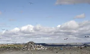 Vertedero de residuos sólidos urbanos de Palencia, ubicado en el pago de Valdeseñor. / Víctor Herrero