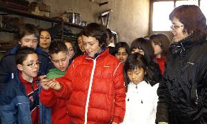 Un grupo de escolares visita una herrería. /El Norte