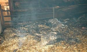 El incendio en la cooperativa de Bustillo de la Vega queda controlado tras arrasar tres naves