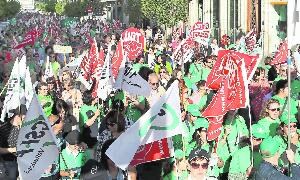 Miles de personas participaron en la marcha, que transcurrió desde Fuente Dorada hasta la Subdelegación del Gobierno. / Henar Sastre