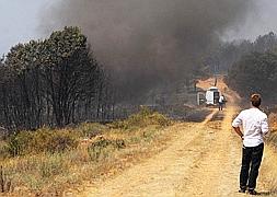 Aún hoy se registraba una intensa humareda en algunos puntos del Incendio de Castrocontrigo, León / ICAL
