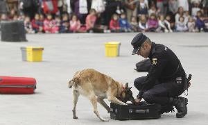 Un agente realiza un ejercicio con un perro adiestrado. / G. Villamil