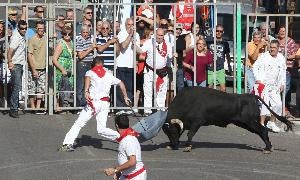 Los festejos taurinos sufren un revolcón en 2012 con un descenso del 11%