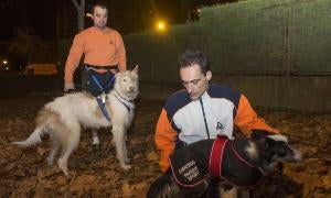 «Yo practico el canicross, ¿y tu?»