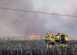 Cerca de un centenar de efectivos controlan el incendio declarado en León