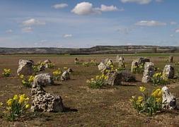 Tumbas en la necrópolis de Las Ruedas, en el yacimiento de Pintia. / El Norte