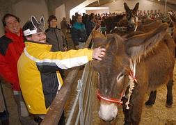 Varias personas observan un burro en la localidad zamorana de San Vitero