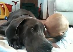 Vídeo./ Youtube