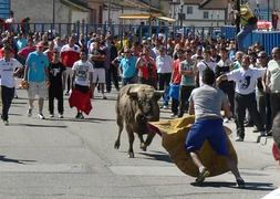 Un joven reta al toro en el encierro celebrado este domingo en Aldeamayor. J. F