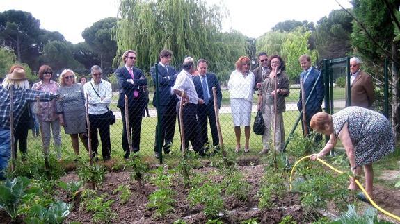 Los mayores,faenan en el huerto. 