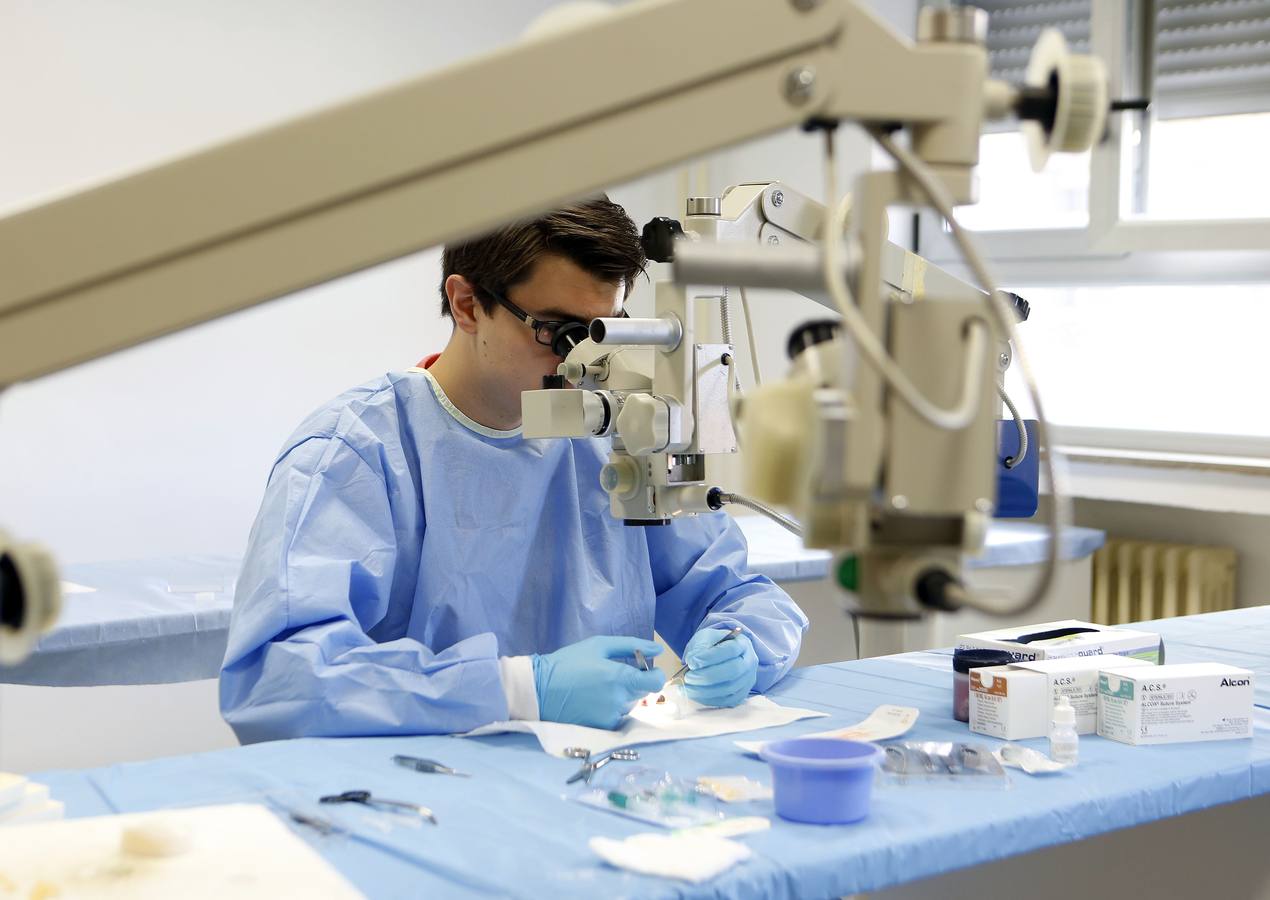 Santiago Delgado ensaya con un ojo de conejo en el laboratorio de al Facultad de Medicina. 