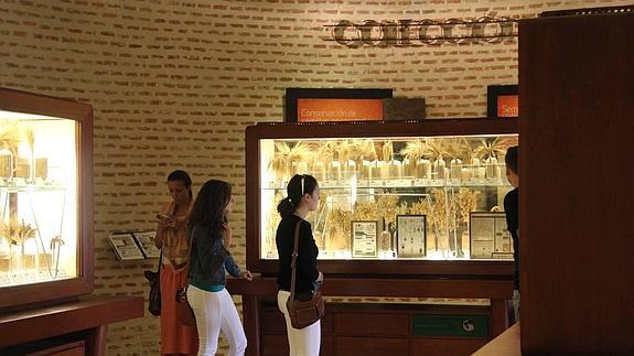 Arévalo recupera el castillo como atractivo turístico y cultural
