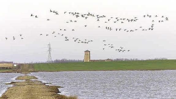 Imagen de la Laguna de Boada de Campo. 