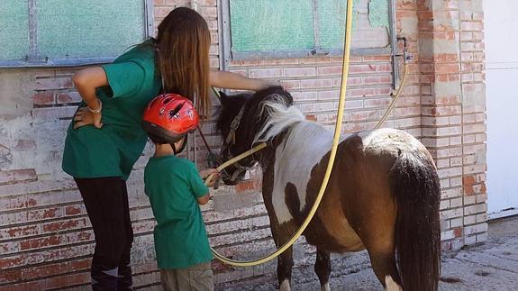 El PSOE desvela la cancelación del 25% de los campamentos ofertados por el Ayuntamiento