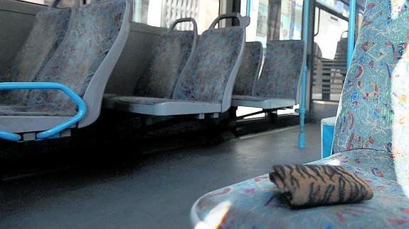 Los usuarios de Auvasa pierden una media de cien objetos al mes en el bus